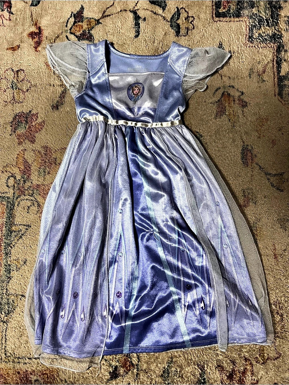 Disney Girls 3T Frozen II Elsa Dress